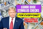 DOGE Stimulus Checks