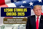 $2500 Stimulus Checks 2025