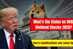 DOGE Dividend Checks 2025