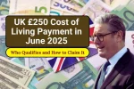 UK £250 Cost of Living Payment