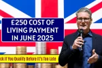 UK £250 Cost of Living Payment