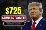 $725 stimulus payment