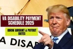 VA Disability Payment Schedule 2025